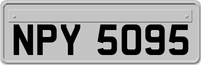 NPY5095