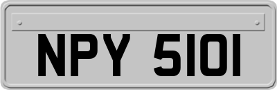 NPY5101