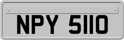 NPY5110