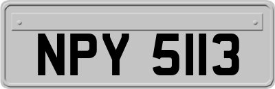 NPY5113