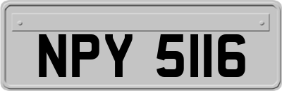 NPY5116