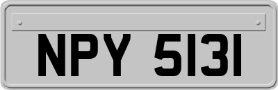 NPY5131