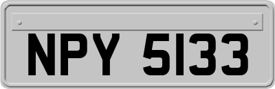 NPY5133