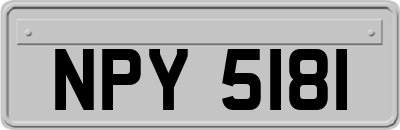 NPY5181