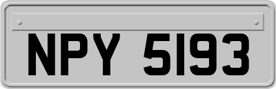 NPY5193