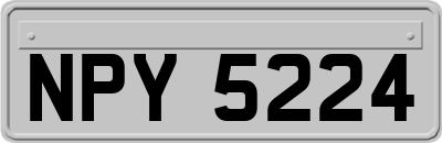 NPY5224