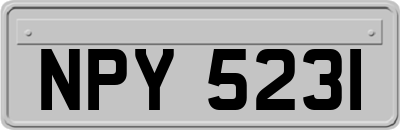 NPY5231