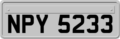 NPY5233
