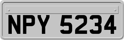 NPY5234