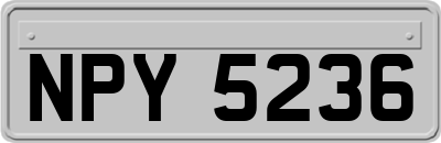 NPY5236