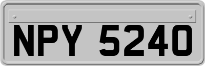 NPY5240