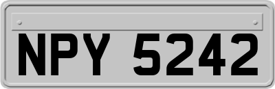 NPY5242