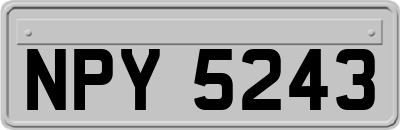 NPY5243