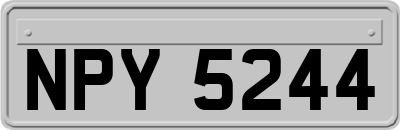 NPY5244