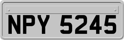 NPY5245