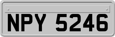 NPY5246