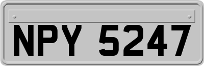 NPY5247