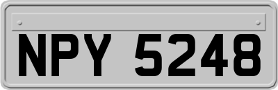 NPY5248