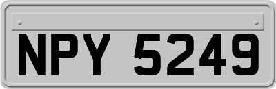 NPY5249