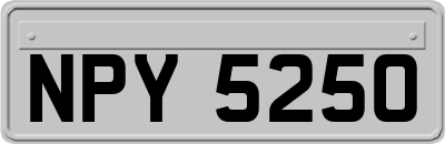 NPY5250