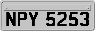 NPY5253
