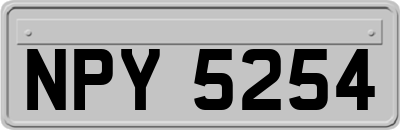 NPY5254