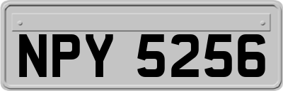 NPY5256