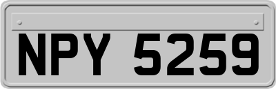 NPY5259