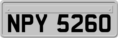 NPY5260