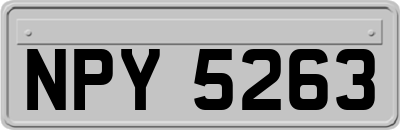NPY5263