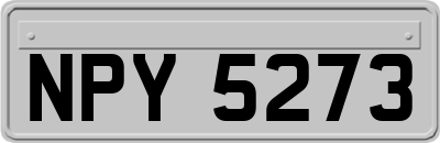 NPY5273