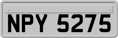 NPY5275