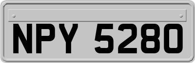 NPY5280