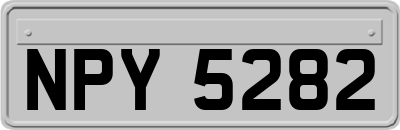 NPY5282