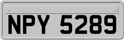 NPY5289