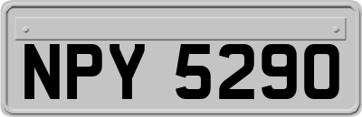 NPY5290