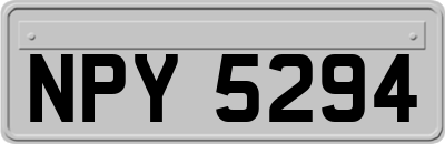 NPY5294