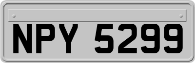 NPY5299