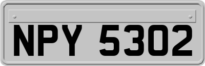 NPY5302