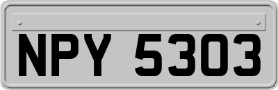 NPY5303