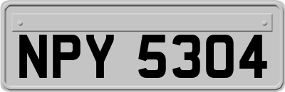 NPY5304