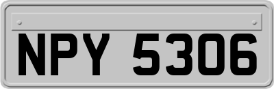 NPY5306