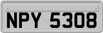 NPY5308