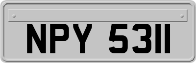 NPY5311