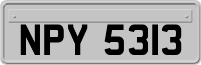 NPY5313