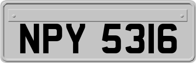 NPY5316