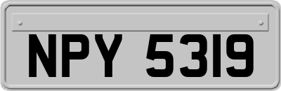 NPY5319