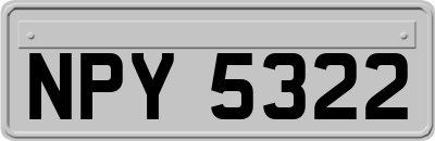 NPY5322