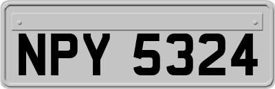 NPY5324