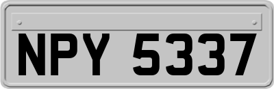 NPY5337